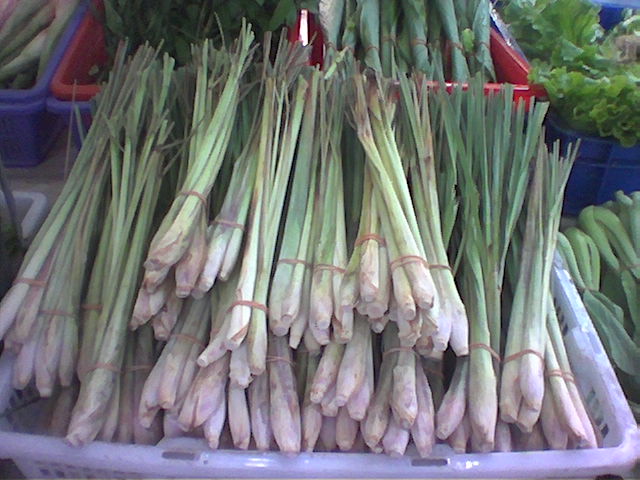 Lemongrass (Cymbopogon citratus)