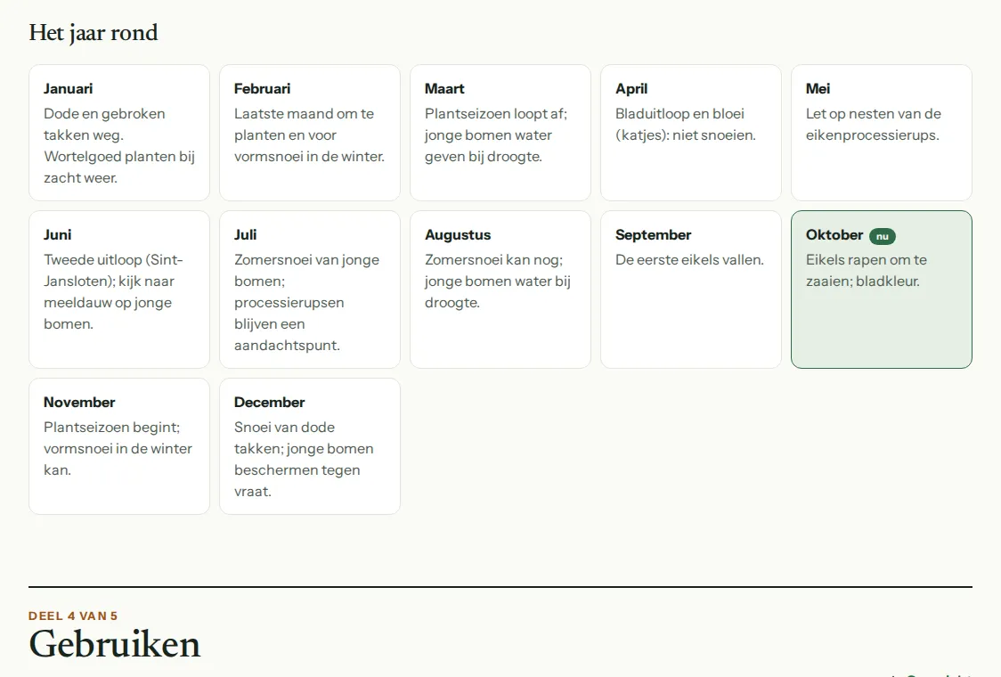 Het jaar rond op de fiche van de zomereik: per maand wat je doet en wat je ziet.
