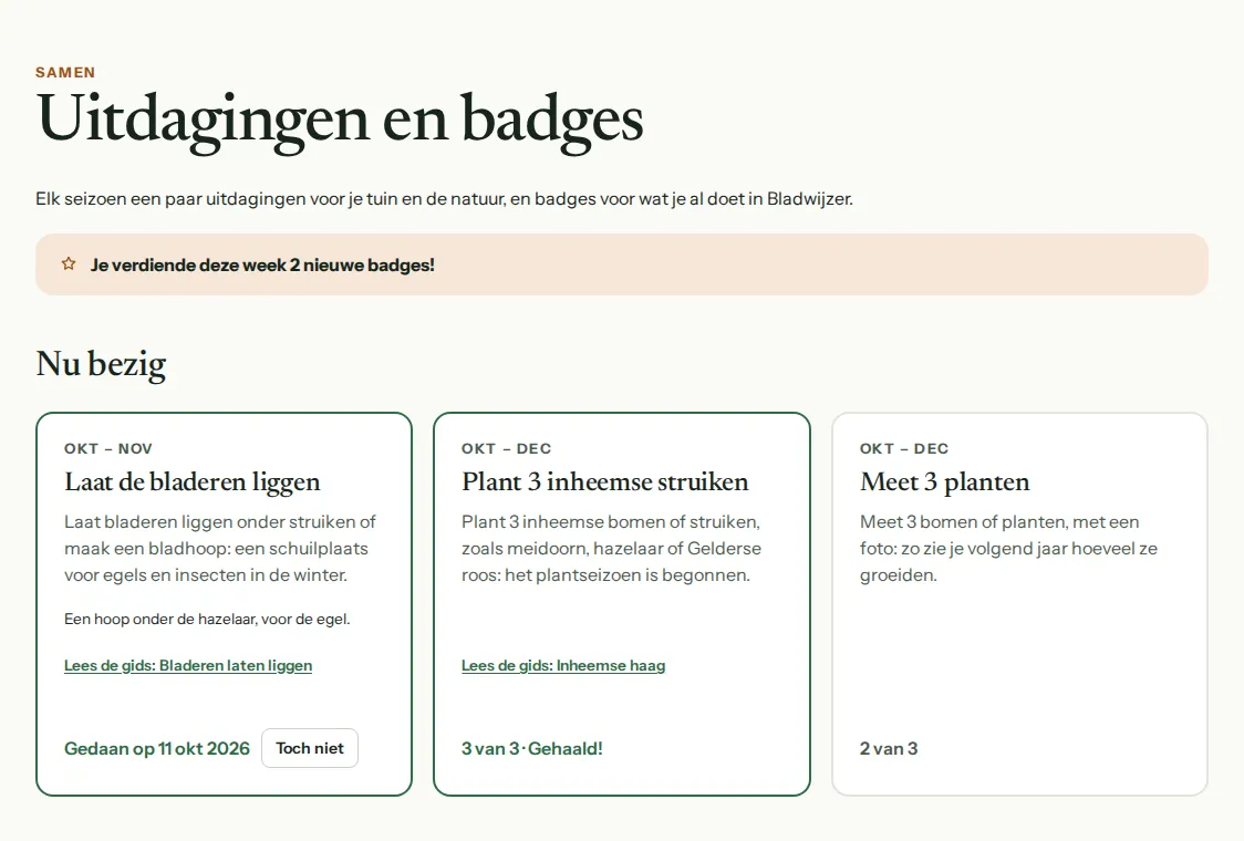 Uitdagingen van het seizoen, zoals de bladeren laten liggen en drie inheemse struiken planten.
